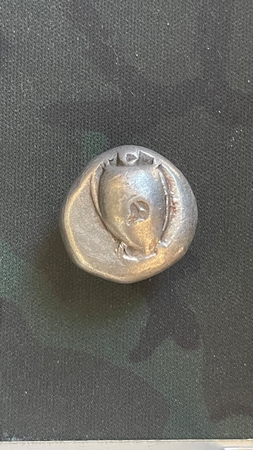 Aegina Sea Turtle Stater